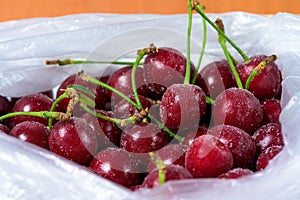 Frozen cherries are covered with ice crystals and frost for winter home preparation in the freezer