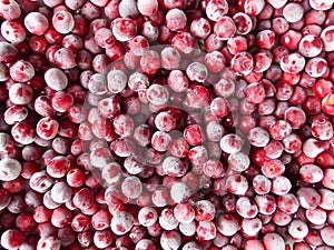 Frozen cherry in the refrigerator