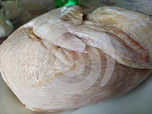 Frozen chicken on white plate close-up