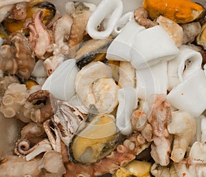 Frozen Chunks of Seafood or Sea Cocktail