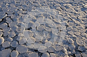 Frozen circles of ice on beach in Southeast Alaska