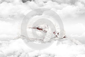 Frozen in the clouds