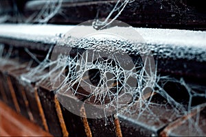 Frozen Cobweb