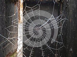 Frozen cobweb between the metal plates of a fence