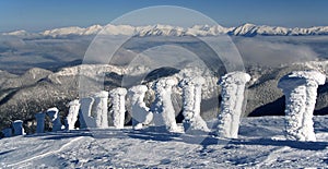 Frozen columns in ski resort Jasna - Slovakia photo