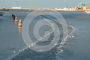 Frozen Copenhagen canal. Cold sunny winter day in Denmark Europe