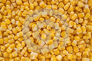 Frozen Corn Close Up Top View. Food Background