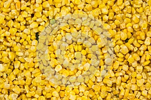 Frozen corn yellow background