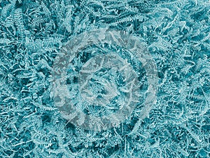 Frozen covering with blue hoarfrost grass, abstract background