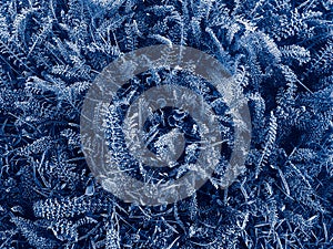 Frozen covering with dark blue hoarfrost grass and plants, abstract background