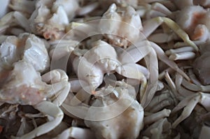 Frozen crab, Close up fresh crab