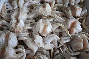 Frozen crab, Close up fresh crab