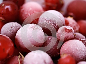 Frozen cranberries