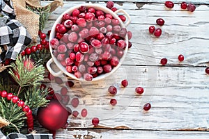 Frozen Cranberries in a Bowl photo