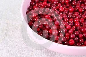 Frozen cranberry in pink plate