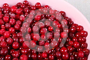 Frozen cranberry in pink plate