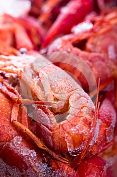Frozen crayfish.