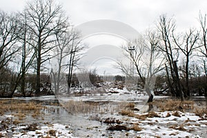 Frozen creek melting among dark trees near the winter forest