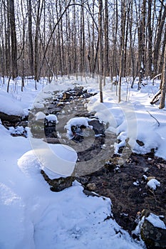 Frozen creek running through the woods, with snow covered rocks and logs. Taken in William O`Brien State Park Minnesota