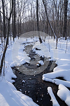 Frozen creek running through the woods, with snow covered rocks and logs. Taken in William O`Brien State Park Minnesota
