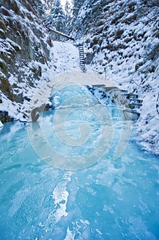 Frozen creek in Sucha Bela gorge in Slovak Paradise during winter