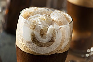 Frozen Dark Stout Beer Float