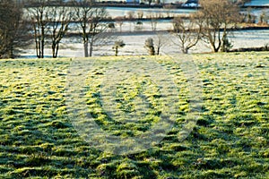 Frozen Dartmoor field