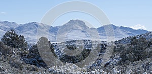 Frozen desert landscape in Arizona