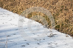 Frozen ditch covered with ice and snow