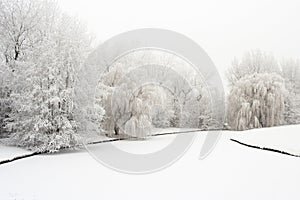 Frozen ditch at Katwijk