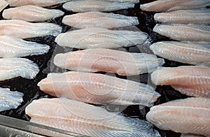 Frozen Dory Fish Fillets