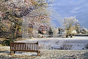 A frozen duck pond in an English village with a bench in the foreground. On a cold frosty winters day. Hanley Swan, Worcestershire