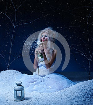 Frozen fairy with rose