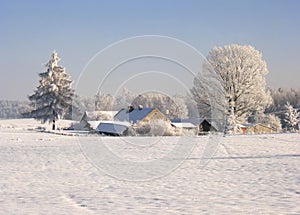 Frozen farm