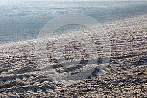 Frozen Farmland