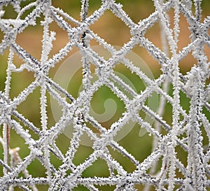 Frozen fence