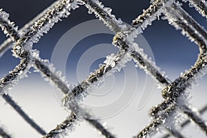 Frozen fence made of metal mesh covered with frost crystals, an