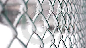 Frozen fence made of metal mesh covered with frost crystals, an early sunny cold morning.