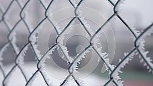 Frozen fence made of metal mesh covered with frost crystals, an early sunny cold morning.