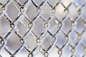 Frozen fence made of metal mesh covered with frost crystals, an early sunny cold morning, on a blurred background.