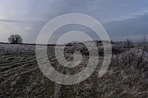 Frozen Fields on a Farmer`s Land Near a Wiltshire Marina