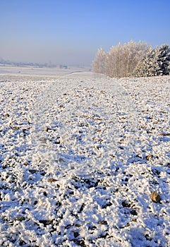 Frozen fields and meadows