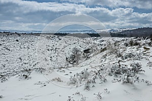 Frozen fields in Winter, Delika river Orduna, Basque Country