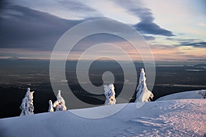 Frozen fir trees oÐº Snow ghosts on montain top.