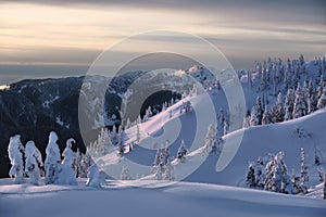 Frozen fir trees oÐº Snow ghosts on montain top.