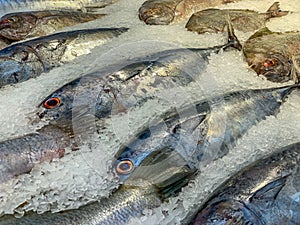 Frozen fish for sale at seafood supermarket