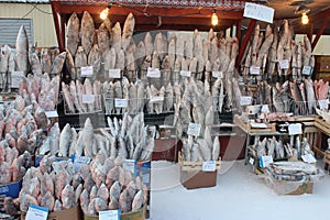 Frozen fish, winter street market in Yakutsk, Sakha, Yakutia