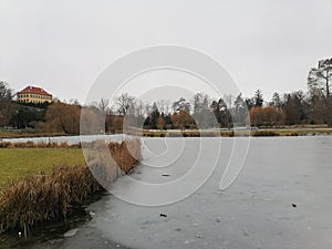 Frozen fishpond