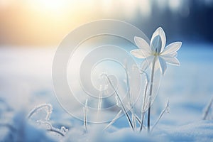 frozen flower in garden AI generated