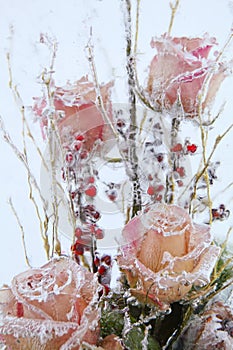 Frozen flowers in block of ice